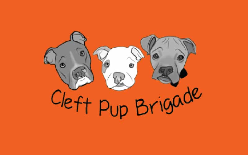 Kitchen747_CleftPupBrigade